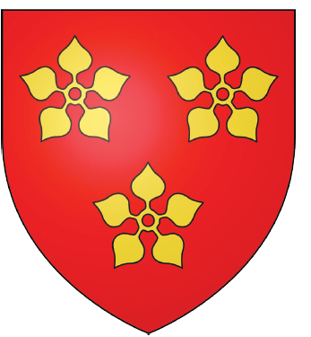 Afbeelding invoegen