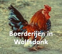 Afbeelding invoegen