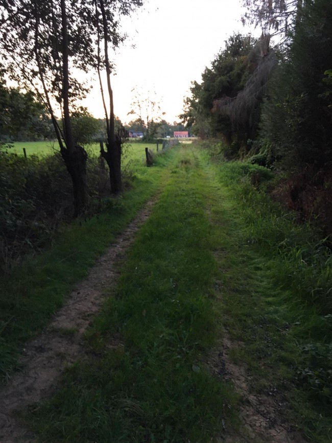 Afbeelding invoegen