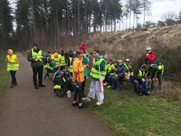 Afbeelding invoegen